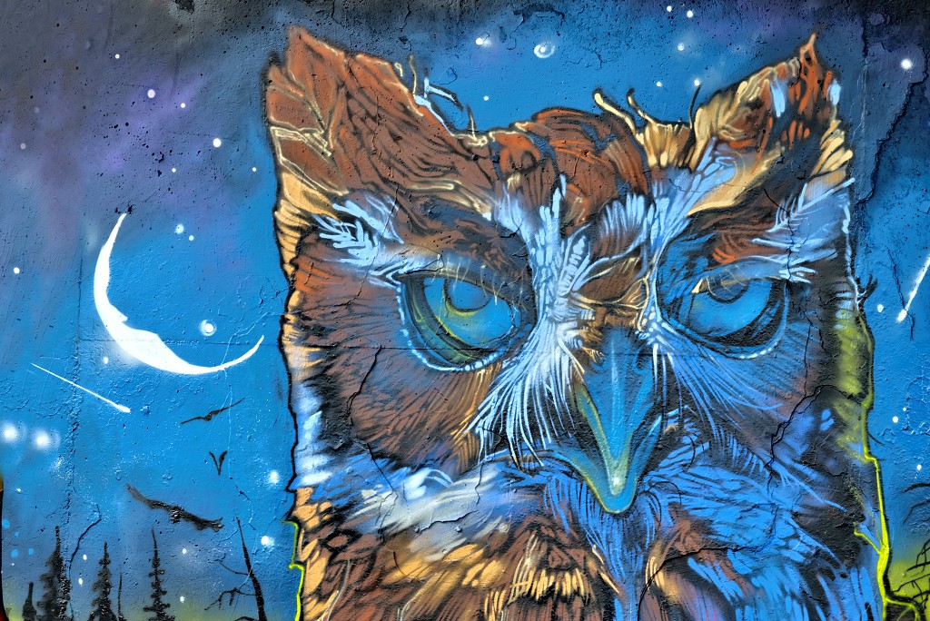 graffiti eindhoven hdr urbex art kunst kunstwerk mural murals berenkuil straatkunst